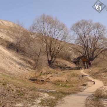 Ульяновская область станет участником проекта «Пешеходные маршруты»