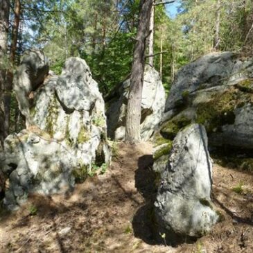 Молодёжь Ульяновской области отправят в путешествие